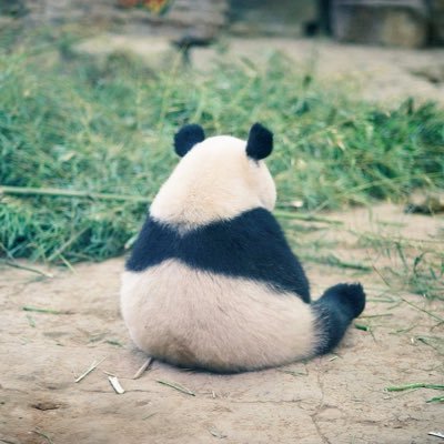 Oliver35106230's profile picture. 