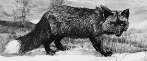 kilki's profile picture. 