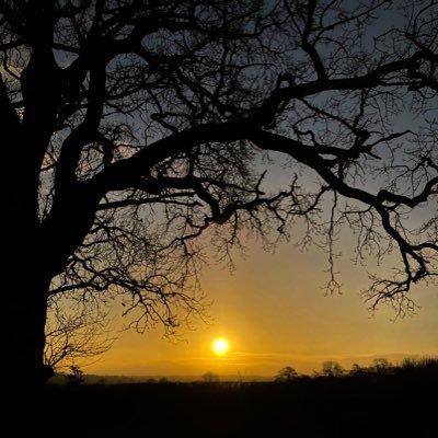 willjs324's profile picture. 