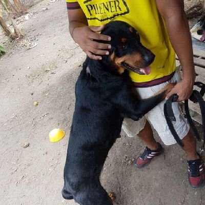 DarioJa51819512's profile picture. .