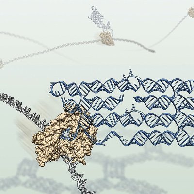 Twitter bot that searches the scientific literature for RNA nanotech papers, created and maintained by @nstrsampedro