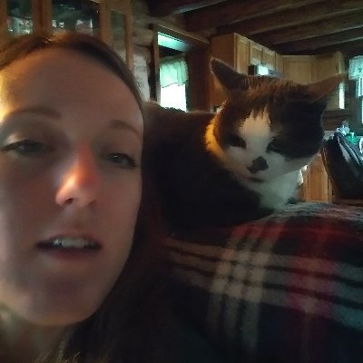 banditosbud's profile picture. 