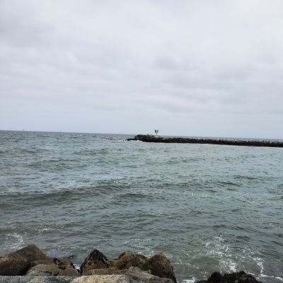 Antonio49096405's profile picture. 