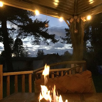 mofu9413in's profile picture. I'm certainly a Bi guy missing both