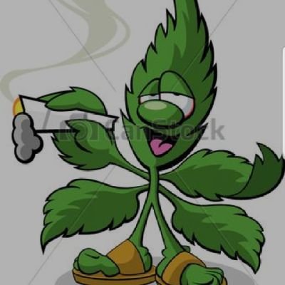 Aussie/Cali buds🍁
All flavors 🍋
Top shelf buds
#growyourown