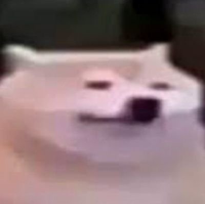 LuisAlb38340774's profile picture. queso