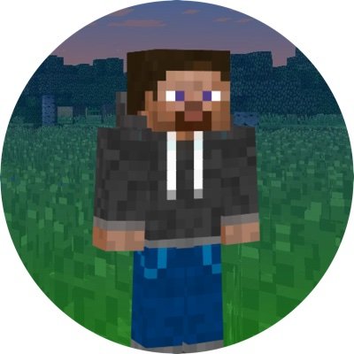 Minecraft author. The creator of The Story of Steve books.