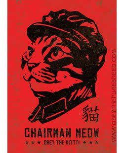 themeowking's profile picture. Bird sightings from Brooklyn