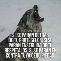 Ismael Bastida (@ismaelbastida11) 's Twitter Profile