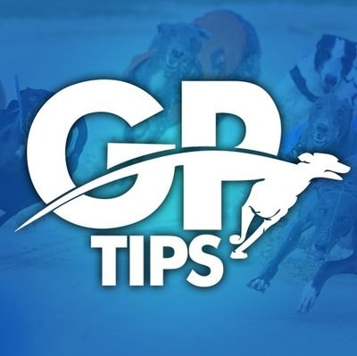 Premium Greyhound Tipster specialising in 1 track - Est Oct 18 - Achievable P/L -  Over 1100u profit last 3 years (1300u to bet365 prices) -