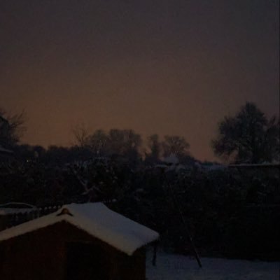 _brainblast_'s profile picture. 