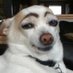 LookBuzzAnAlien (@lookbuzzanalie1) Twitter profile photo LookBuzzAnAlien (@lookbuzzanalie1) Twitter profile photo