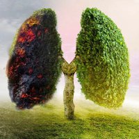 COPD Nursing Team(@COPDNurses_UHL) 's Twitter Profile Photo COPD Nursing Team(@COPDNurses_UHL) 's Twitter Profile Photo
