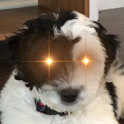 Nova2358's profile picture. 人生理想——上Ted做一个演讲。