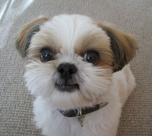 ulyzon's profile picture. おもしろいこと、楽しいことを探してます‼