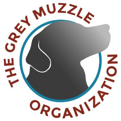 GreyMuzzleOrg Profile Picture