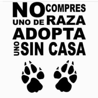 Aser_TiVa ✨💜Soybuhita, Animal lover 💚🐱🦉🐶🐾😻 peTofilica , 🌍♻️ #JusticiaAnimal #NiUnMaltratoMas 
#AdoptaNoCompres #NoALaCaza #RespetoAnimal #NoTauromaquia