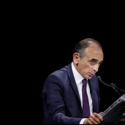 Compte officiel de soutien à Éric Zemmour. | Ce compte a vocation à réunir tous les sympathisants d’Éric Zemmour. Suivez-nous ! #ZEMMOUR2022