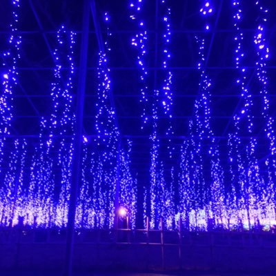 tk32kc's profile picture. Cod mobile垢 下手っぴですが宜しくです_φ(･_･