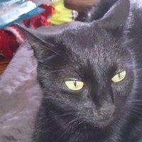 isafontanaud (@balthaz62324547) 's Twitter Profile Photo isafontanaud (@balthaz62324547) 's Twitter Profile Photo