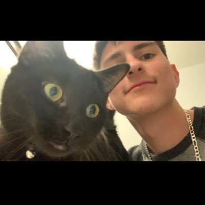 Figmeisterr's profile picture. 🇺🇸🇲🇽