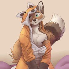 Gay Furry Porn