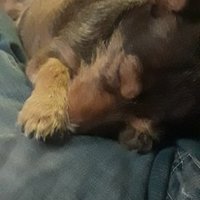 Jason Scott Baron (@jasonscottbaro2) 's Twitter Profile