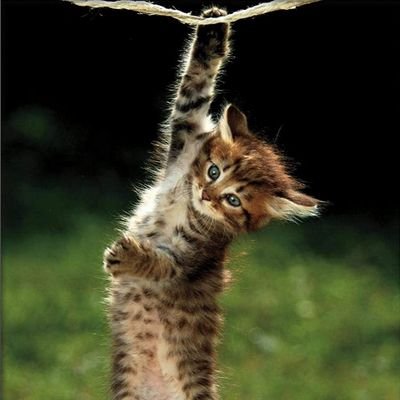 KelbjnL's profile picture. 