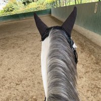 SARA BAQUERO (@saribb1987) 's Twitter Profile