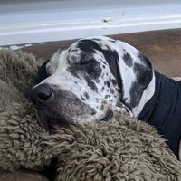 James B Lofthouse (@geothermaljim) 's Twitter Profile