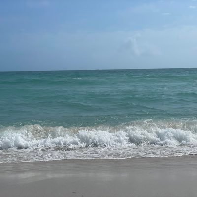 traderjabroni's profile picture. 