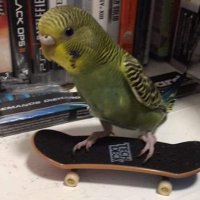 Dead Chris (@jurassicdio) 's Twitter Profile