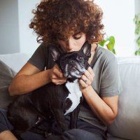 Fetch! Pet Care of Manassas (@mochsfetch) Twitter profile photo