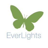 EverLights(@lights_ever) 's Twitter Profile Photo