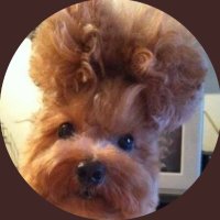 racist pets (@racistpets) 's Twitter Profile