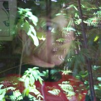 Mickey van Seenus (@mickeyvanseenus) 's Twitter Profile