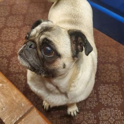 Evilx131's profile picture. 