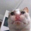 Anya Schmidt - @AnyaSchmidt15 - Twitter