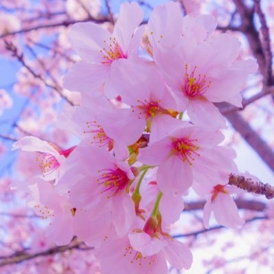 flexling's profile picture. 