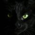 โ๏ฃฟ (@08o___o80) Twitter profile photo โ๏ฃฟ (@08o___o80) Twitter profile photo