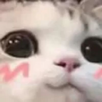 SkaDoesThings Profile Picture