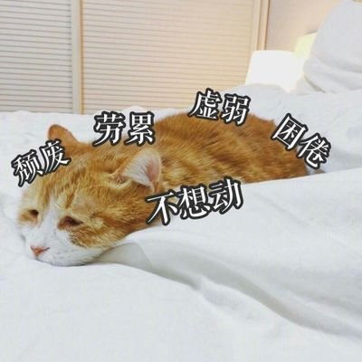 梅さんのプロフィール画像
