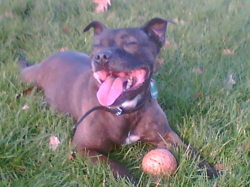 jbewell88's profile picture. We are who we are and never change just to appease the masses