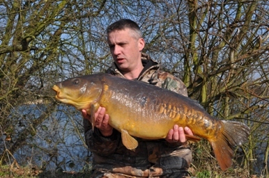 RodNoakes's profile picture. 