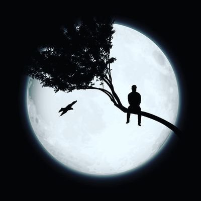 DreTipografia's profile picture. Conta oficial ! Criador de vídeos para status