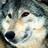 el_firu00's profile image