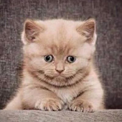 mvogelsong's profile picture. #itsgreattobe62