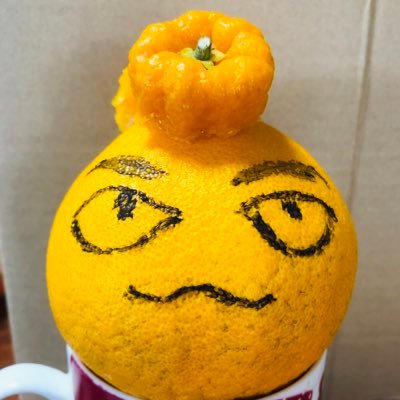 GudeNyanko's profile picture. ラジオ好きな農家のおばちゃんです。消極的ビニール傘応援。落ちこむ事もあるけれど、毎日がんばらざるを得ない3世代同居のお百姓。ストレスで太るタイプ。来る者はこばむ。人々に祝福と喜びを届けるミサイル姉妹の妹。特技・屋根からの餅まき 2老人介護と精神・身体1級持ちきょうだいを持つため、いっぱいいっぱい。5億円欲しい