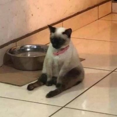 eddiemamee's profile picture. nice