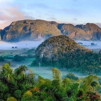 h_k_208's profile picture. Student